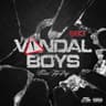 Vandal Boys