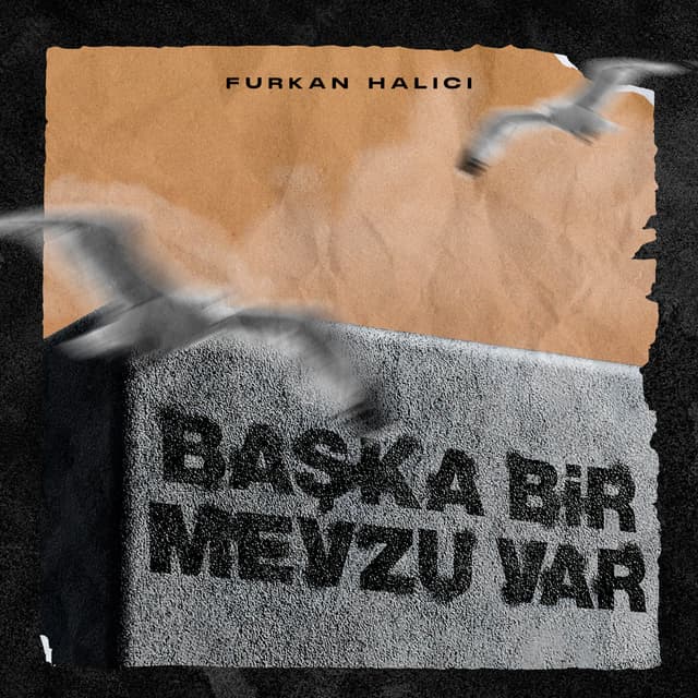 Album cover art for Başka Bir Mevzu Var