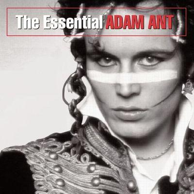 Album cover art for The Essential Adam Ant