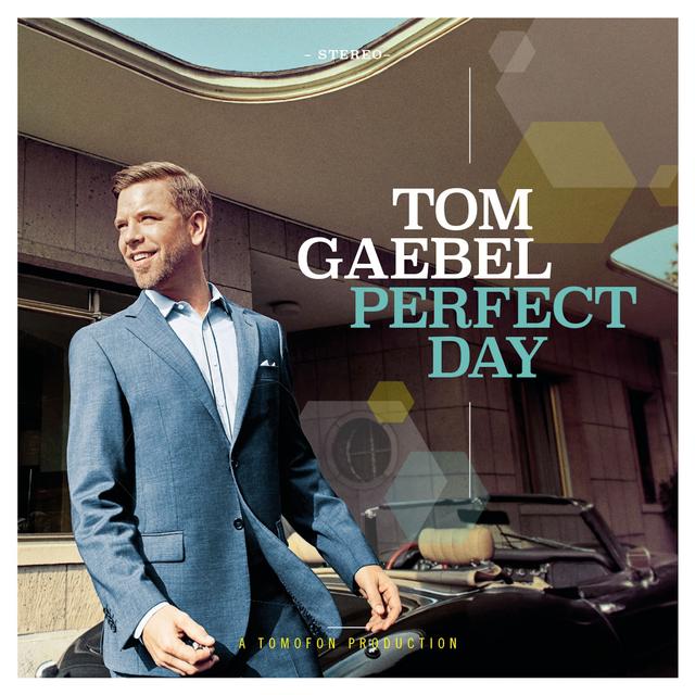 Album cover art for Perfect Day