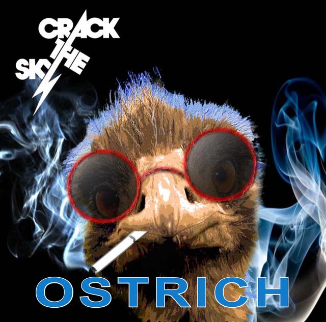 Album cover art for Ostrich