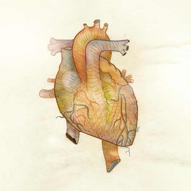 Album cover art for Heavi Metal