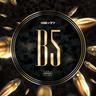 #B5
