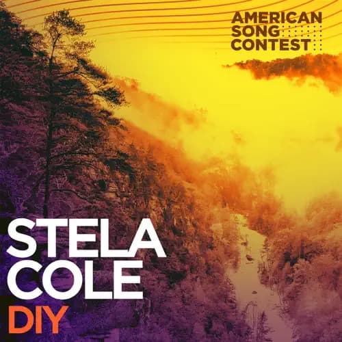 Album cover art for DIY (From "American Song Contest")