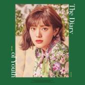 Album cover art for The Diary of Youth