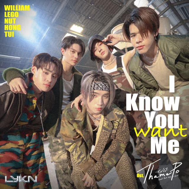 Album cover art for I Know You Want Me