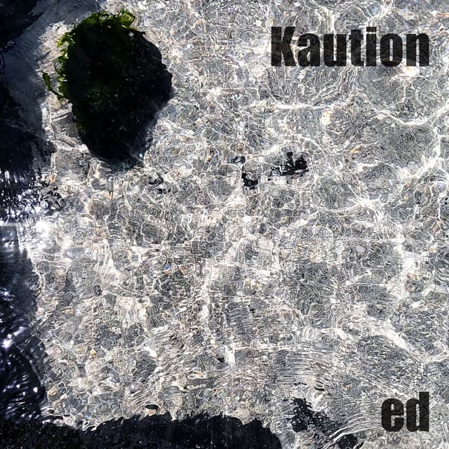 Album cover art for ed