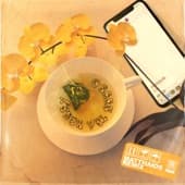 Album cover art for Green Tea & Honey (International Remix)
