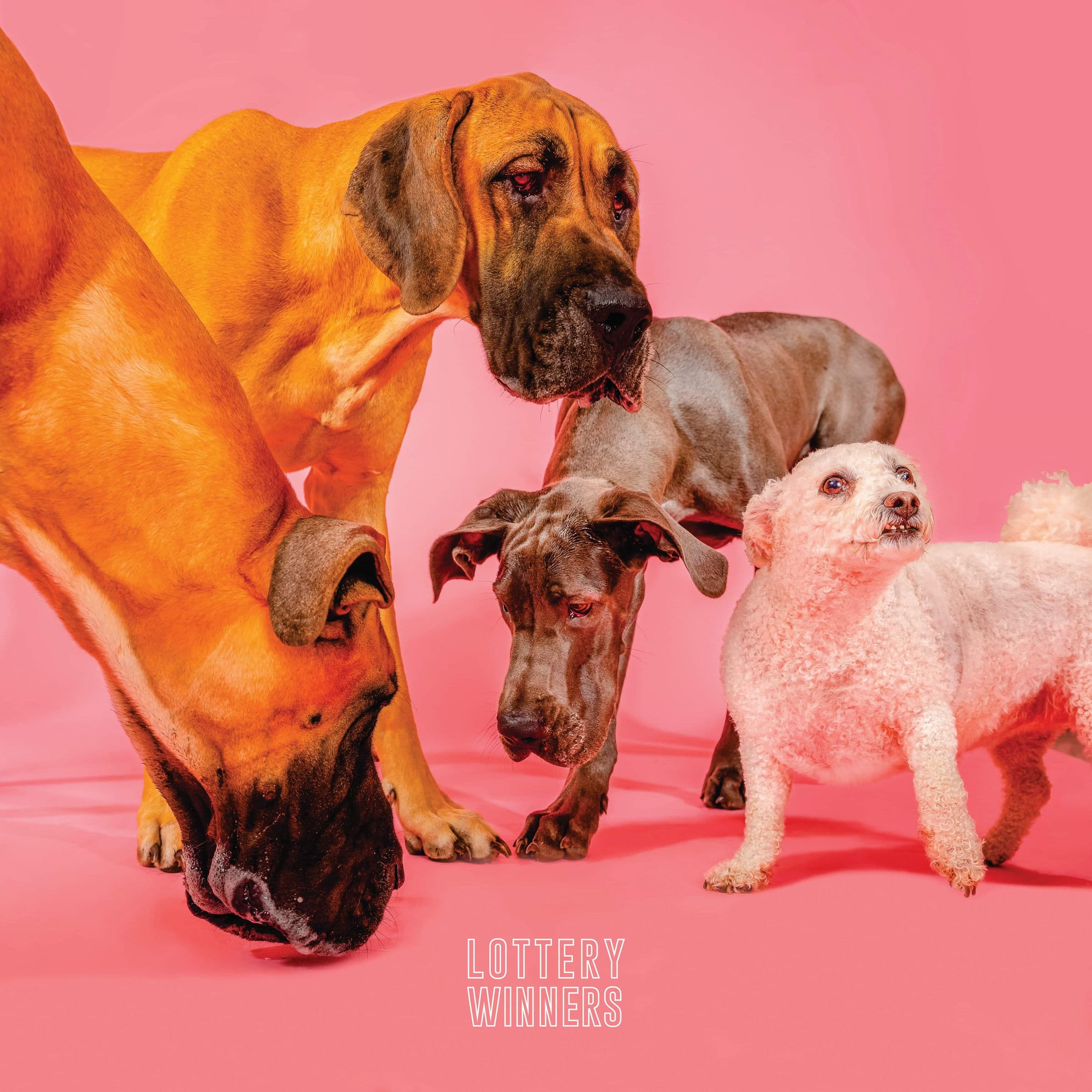 Lyric cover art