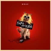 Album cover art for Faire Des Vues
