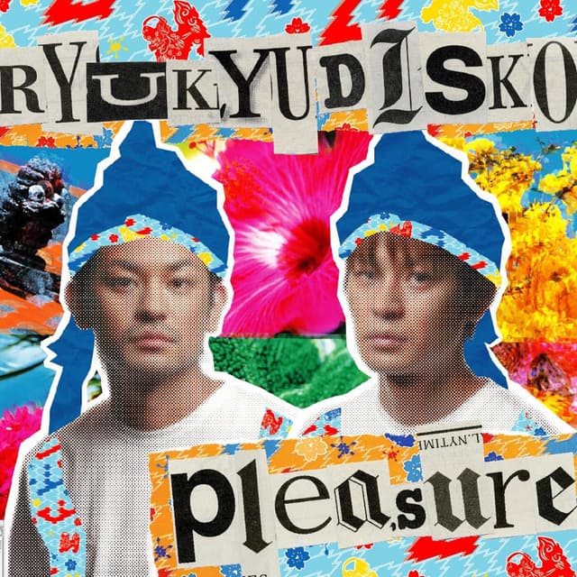 Album cover art for pleasure