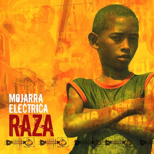 Album cover art for Raza
