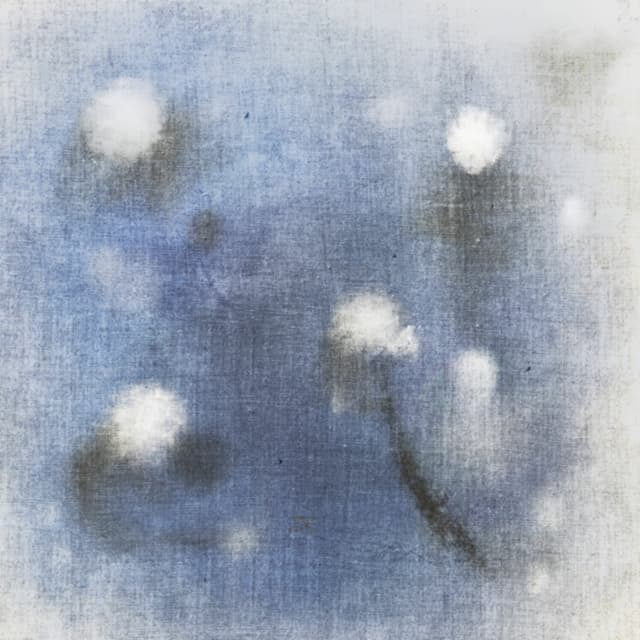 Album cover art for uminoi