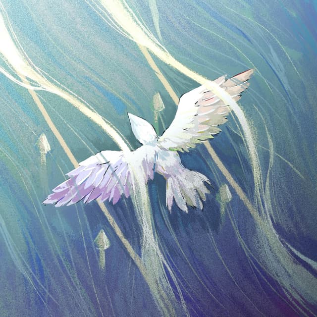 Album cover art for Wind;Decoy