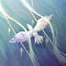 바람잡이 Wind;Decoy