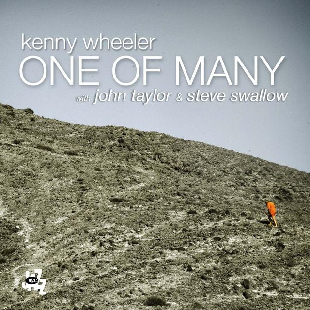 Album cover art for One Of Many
