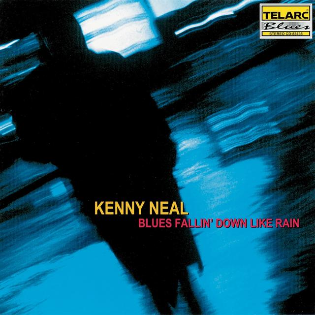 Album cover art for Blues Fallin' Down Like Rain