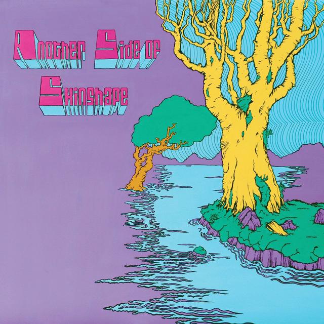 Album cover art for Another Side Of Skinshape