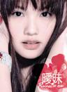 理想情人 (li xiang qing ren)