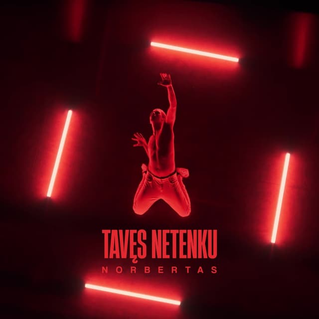 Album cover art for Tavęs netenku