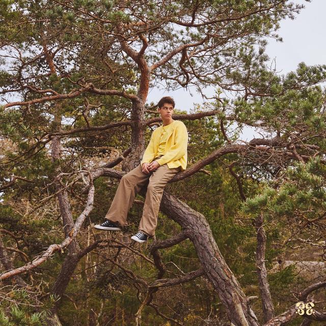 Album cover art for Beach House