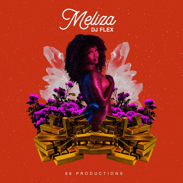 Album cover art for Meliza