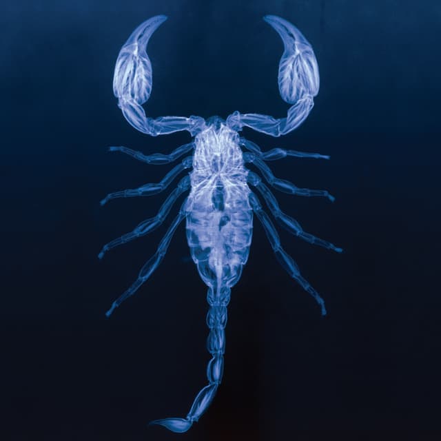 Album cover art for V