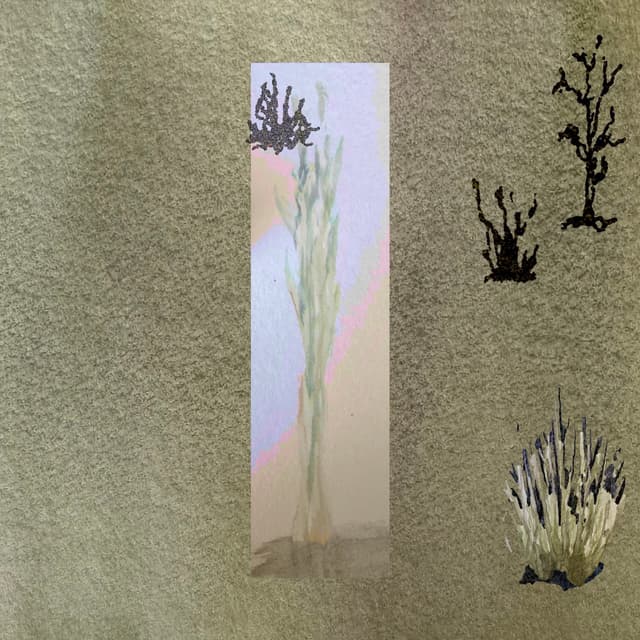 Album cover art for A Walk in the Grass
