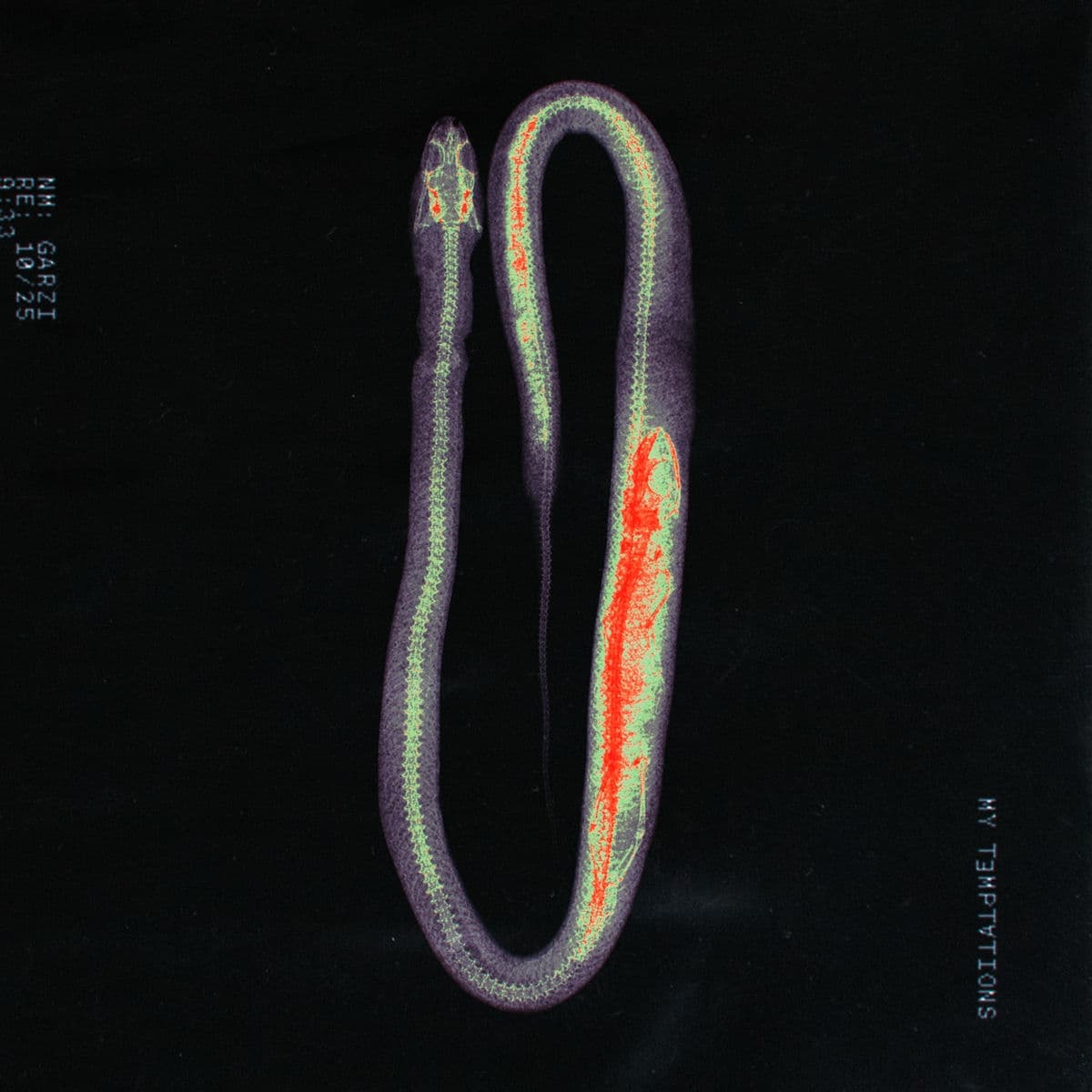 Lyric cover art