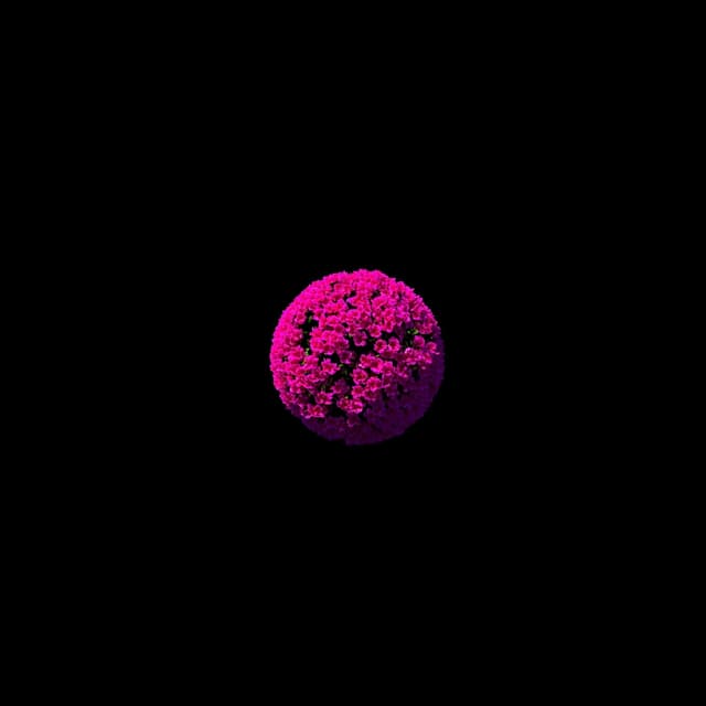 Album cover art for Bugambilia