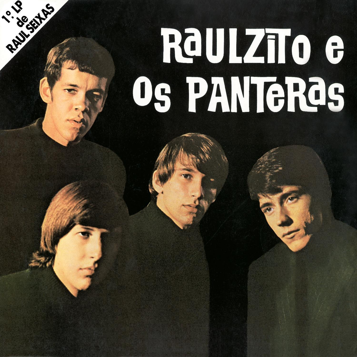 Raulzito e os Panteras