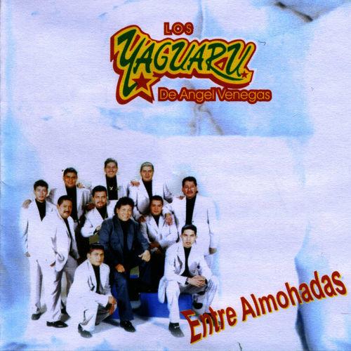 Album cover art for Los Yaguaru