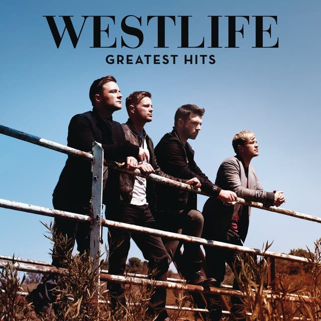 Album cover art for Greatest Hits