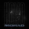 Hoyo