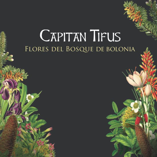Album cover art for Flores Del Bosque De Bolonia
