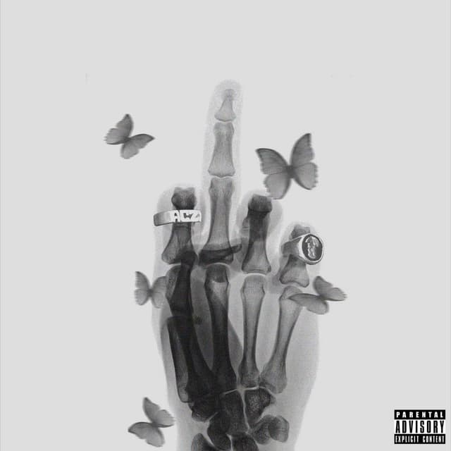 Album cover art for FRACTURE