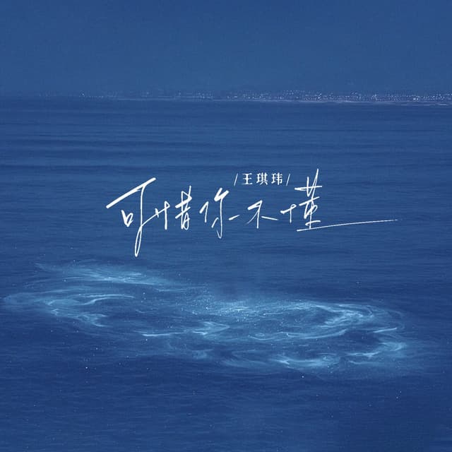Album cover art for 可惜你不懂