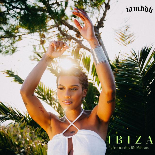 Album cover art for iBiZA