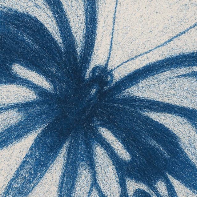 Album cover art for BUTTERFLY