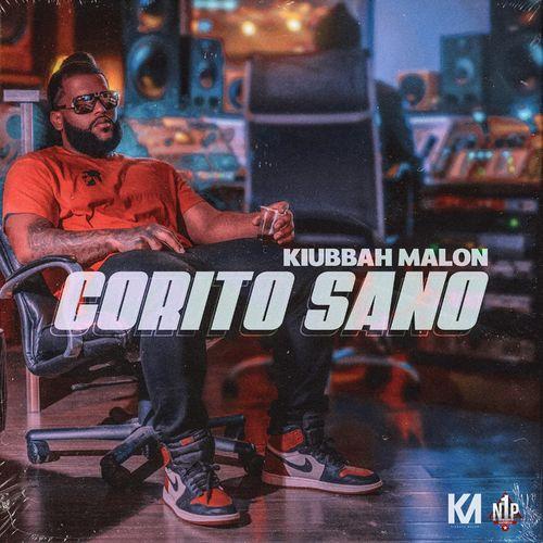 Album cover art for Corito Sano
