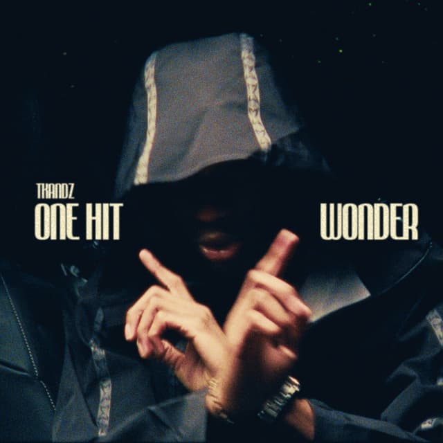 Album cover art for ONE HIT WONDER
