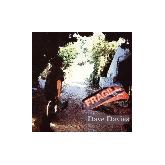 Album cover art for Fragile