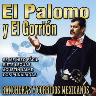 Album cover art for Rancheras Y Corridos Mexicanos