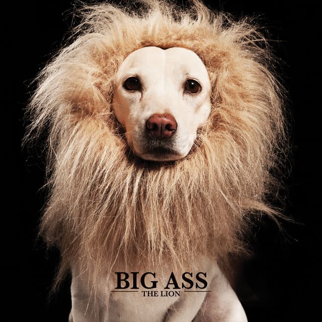 Album cover art for THE LION