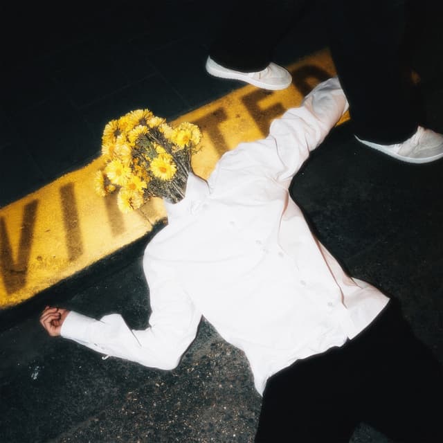 Album cover art for INGEM IS VINTED