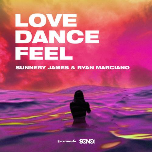 Album cover art for Love, Dance And Feel