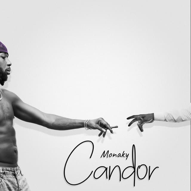 Album cover art for Candor