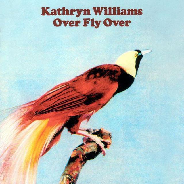 Album cover art for Over Fly Over