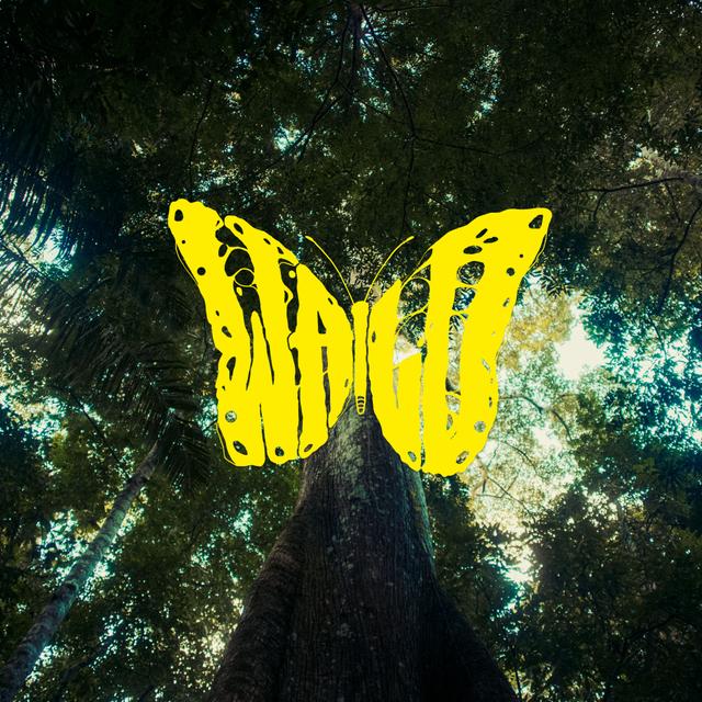 Album cover art for Wald