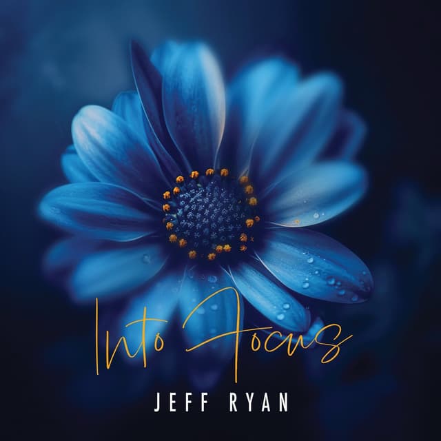 Album cover art for Into Focus